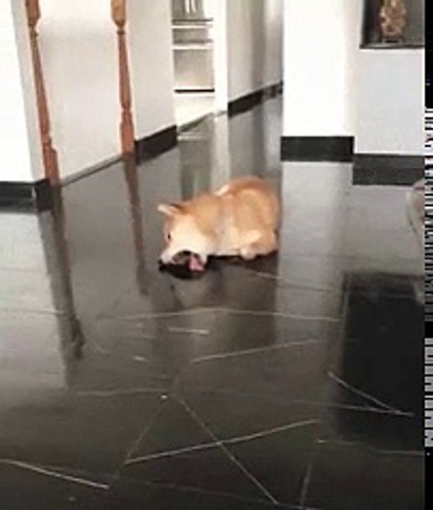Keeping the house clean