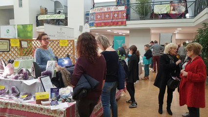 Visite du salon de la santé et du bien être au Réservoir à Lunéville