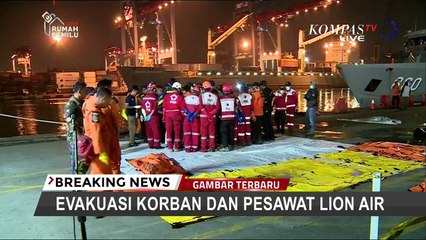 Dialog: Seberapa Aman Pesawat Sebagai Moda Transportasi? (4)