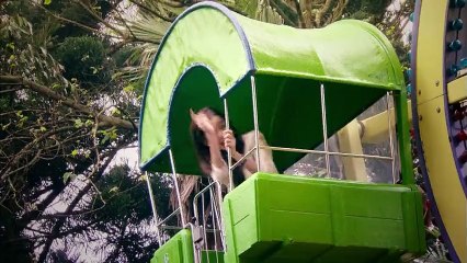 Inborn Pair E47 ( Engsub - Indosub )