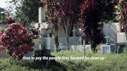 teleSUR Interviews: Steven Donziger, 25 Years Of Chevron Case