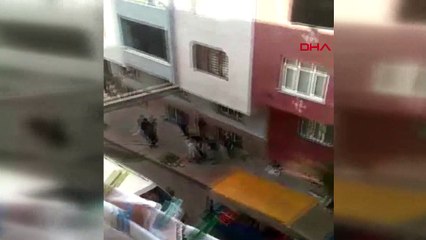 Sultangazi’de pitbull dehşeti! Kediyi ağzından kimse alamadı