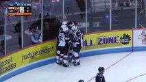 ECHL Greenville Swamp Rabbits 4 at South Carolina Stingrays 7