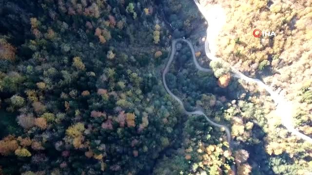 Örümcek Ormanları'nda Renk Cümbüşü...rengarenk Orman Havadan Böyle Görüntülendi