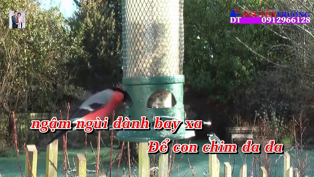 [KARAOKE] Tiếng Hát Chim Đa Đa - Hồng Phượng ft Ngọc Hân