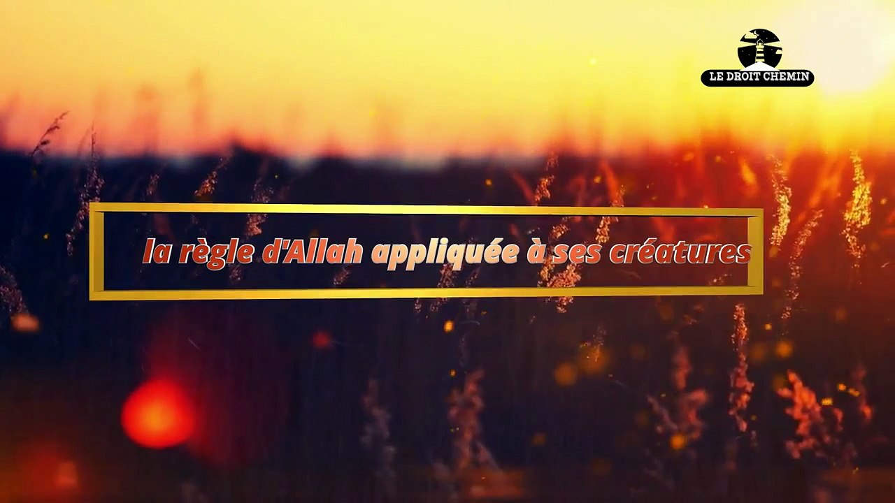 Ceux qui refusent l'appel de l'islam, ne soyez pas trop heureux des bienfaits qu'Allah vous octroie