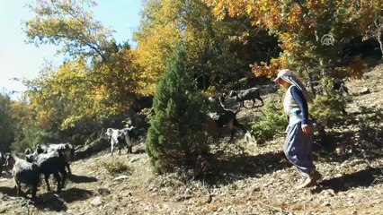 Karakeçili Yörüklerinin zorlu kış göçü (1) - UŞAK