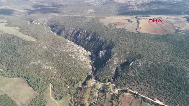 Kocaeli Tabiat Parkından Geçen Yol ve Ağaç Kesimine Tepki