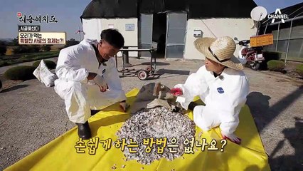 굴 껍데기를 먹고 자라는 오리가 있다?!
