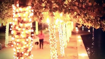 Happy Diwali 2018 - Dog care tips during festival (hindi)