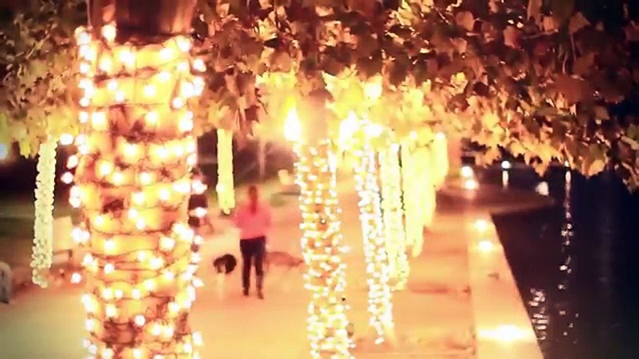 Happy Diwali 2018 - Dog care tips during festival (hindi)