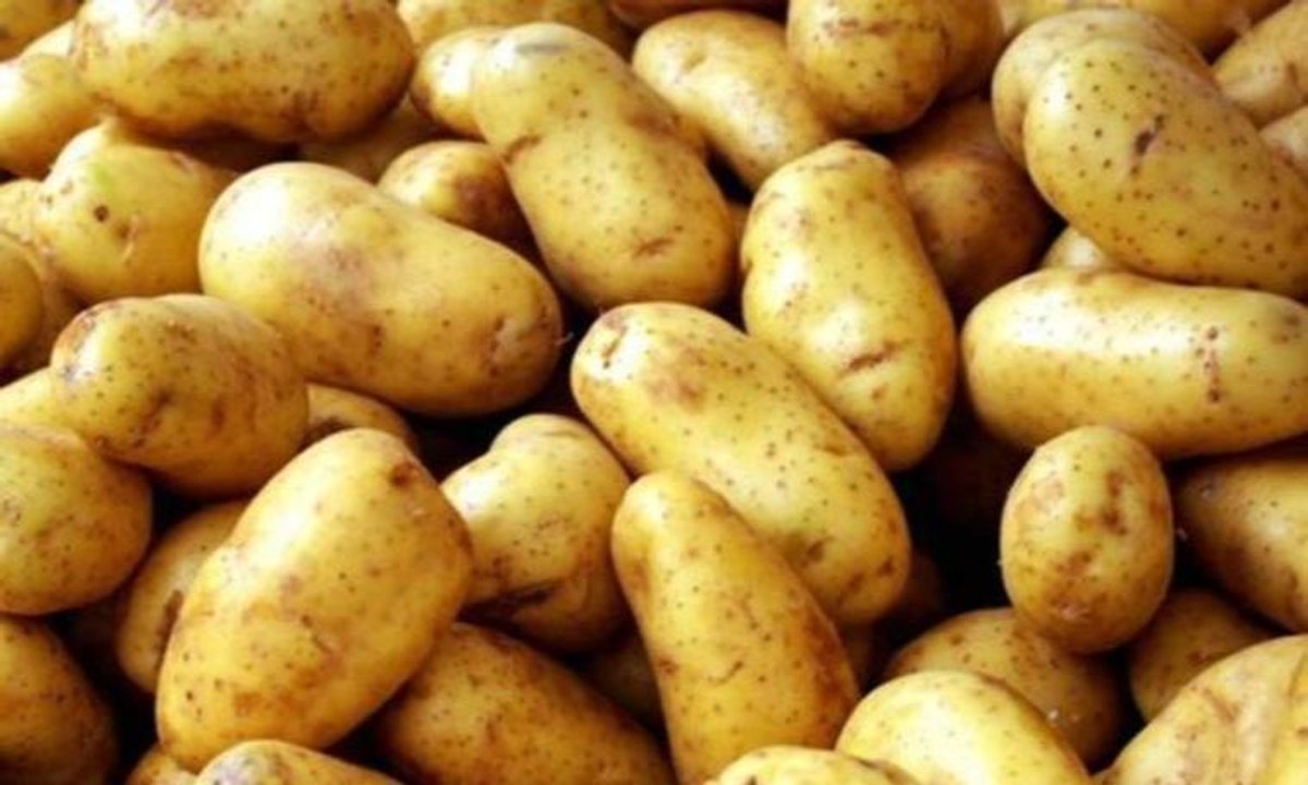 Burada fiyatlar el yakıyor! Patatesin kilosu 25 lira