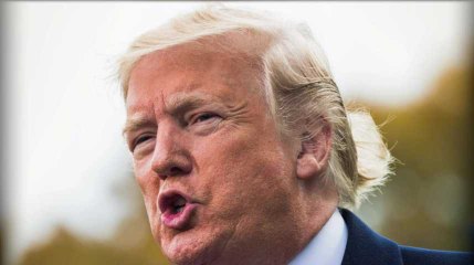 De 5 par jour, Donald Trump serait passé à 30 mensonges quotidiens