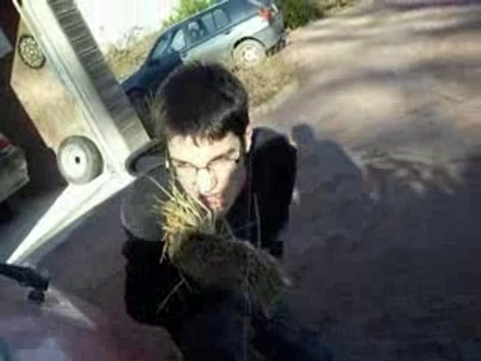 2 FILMS MERDIQUES EN 1