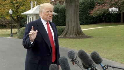 Trump: "I Didn't Say Shoot"