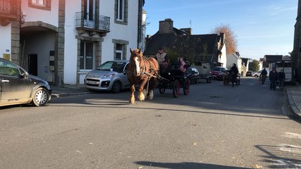 La grande foire aux chevaux de Carhaix