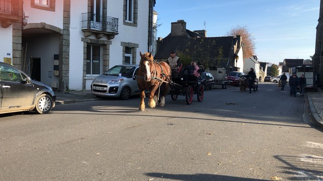 La grande foire aux chevaux de Carhaix