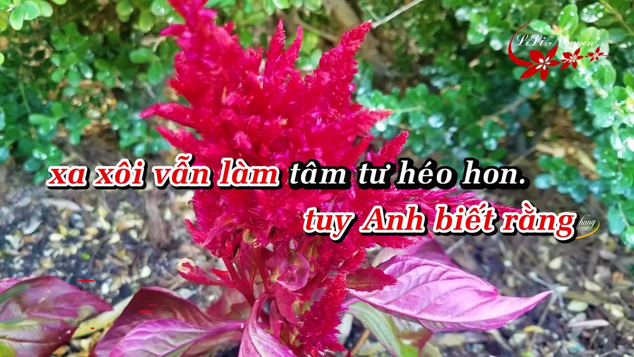 Tạ Từ Trong Đêm Karaoke (4K) - Tone Nữ | TungCh...