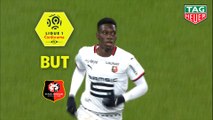 But Ismaila SARR (69ème) / SM Caen - Stade Rennais FC - (1-2) - (SMC-SRFC) / 2018-19