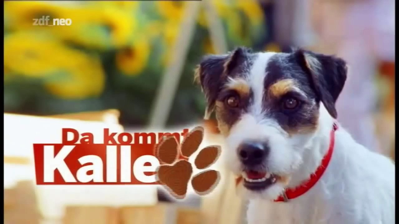 Folge 1 | Da Kommt Kalle | Akt am Strand | Staffel 1