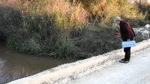 Gediz Nehri'ndeki Toplu Balık Ölümleri