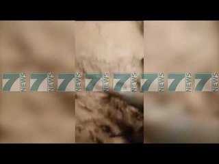 SHUHET NJE FAMILJE NE PALERMO - News, Lajme - Kanali 7