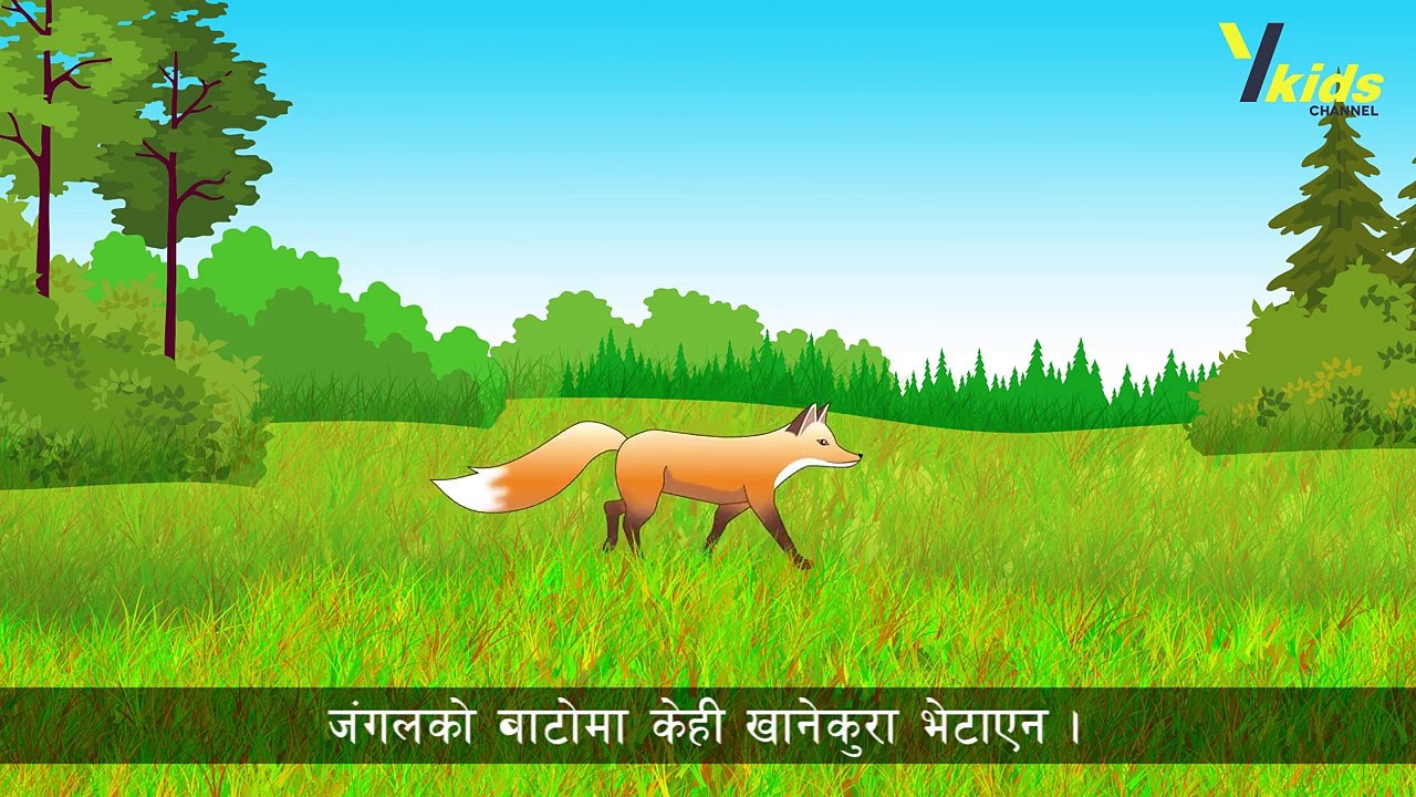 स्याल र अंगुर - नेपाली बाल कथा - The Fox and the Sour Grapes Story