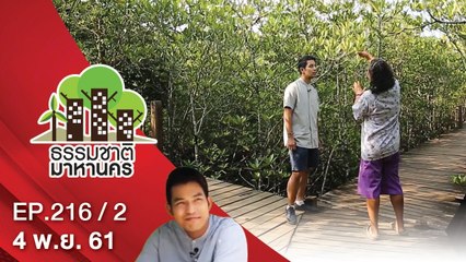 ธรรมชาติมาหานคร | EP.216/2 | 4 พ.ย. 61 | NEW18 | ช่อง 18