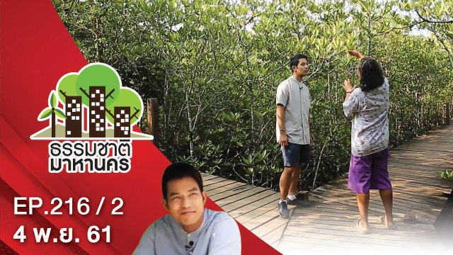 ธรรมชาติมาหานคร | EP.216/2 | 4 พ.ย. 61 | NEW18 | ช่อง 18