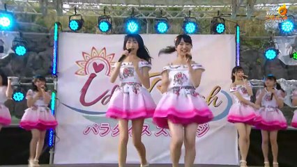 AKB48 - AKB festival