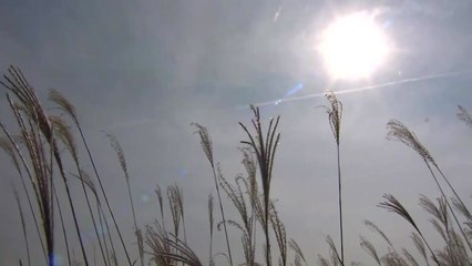[날씨] 中 스모그 유입, 초미세먼지 비상...마스크 착용하세요 / YTN
