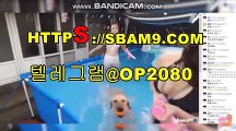 오피스타※https://OP2080.COM※ぅ 바둑이파트너 へ 바둑이파트너 (33dc)