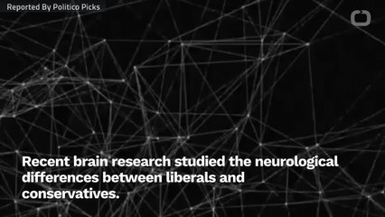 Liberals And Conservatives Have Different Brains