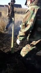 Hole-Borer Has a Mind of Its Own