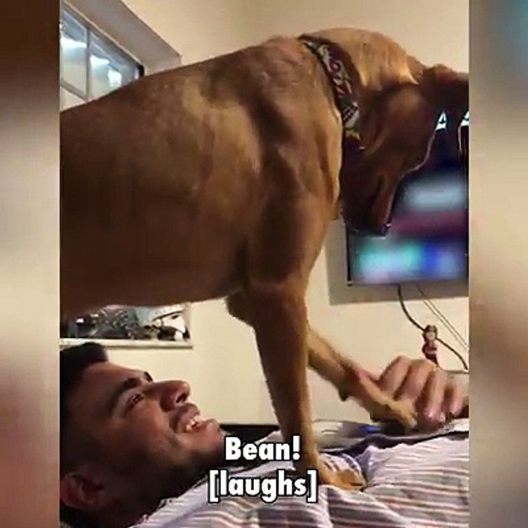 ⁣We love pets! We love pets!