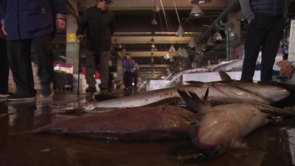 노량진 옛 시장건물 단전·단수...상인 반발 / YTN