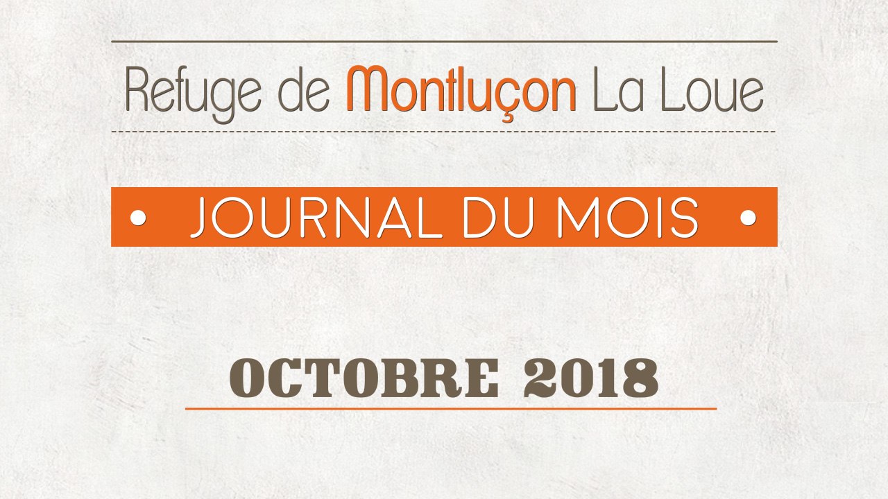 Un mois au refuge : octobre 2018