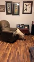 Morning Exercise