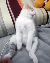 I don't wanna go to school today!