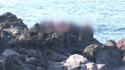 제주 해안 변사체는 3살 된 여아 ...엄마 행방 추적 중 / YTN