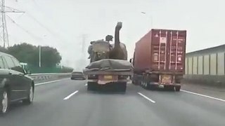 Dinosaurs on the move