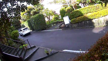 EDR October #5 2018 Noise Campaign: Lumber-cutter and Aircraft