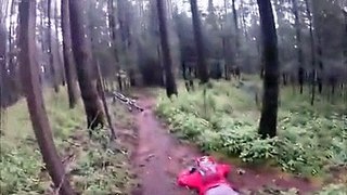 Hilarious Bike Faceplant In The Forest
