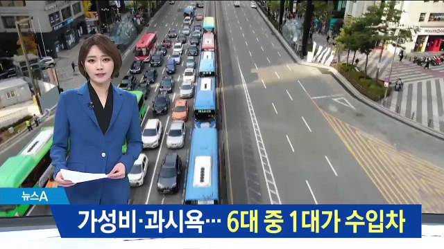 가성비 선호·과시욕 경향…6대 중 1대가 수입차