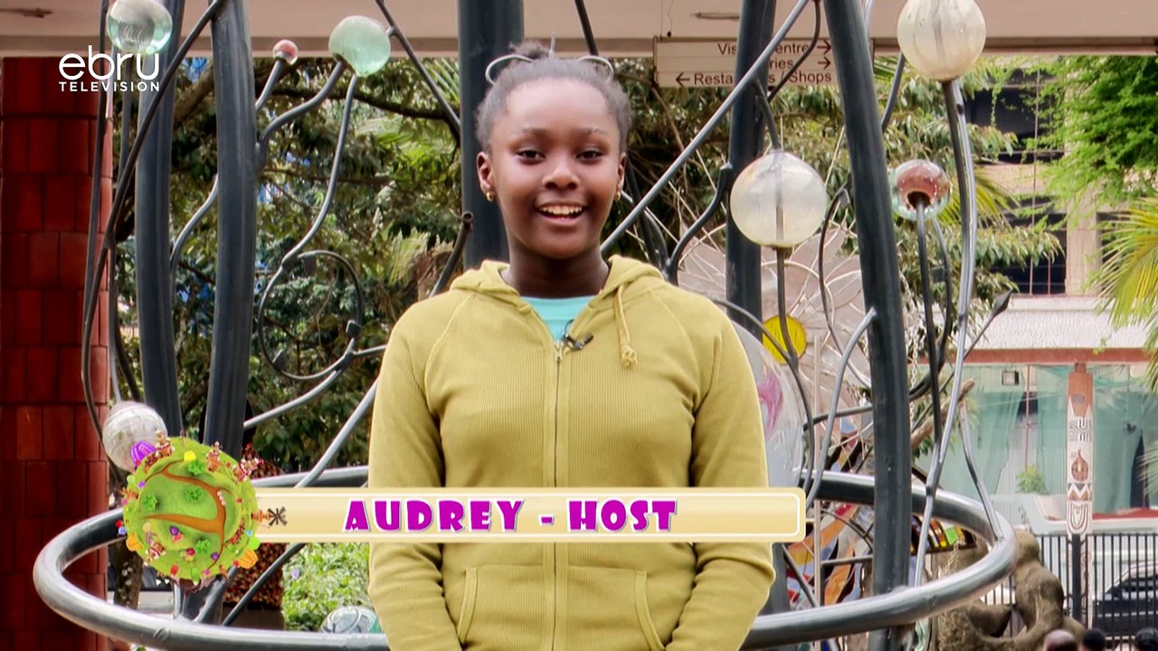 Learning About The Python Snake At Nairobi Snake Park With Duncan