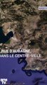 Ce que l’on sait sur l’effondrement de deux immeubles en plein Marseille