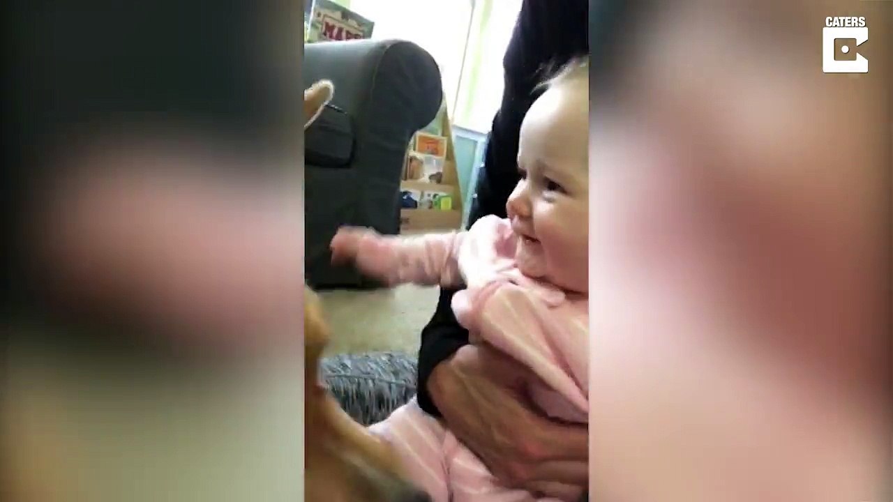 Devoted dog who appeared in every home birthing image remains glued to baby’s side four months after birth