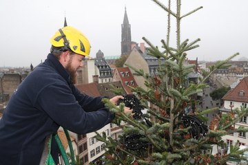 Marché de Noël: Strasbourg vue du sommet du sapin
