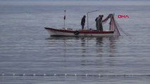 Körfez'e Ağ Attı, 30 Dakikada 50 Kilo Balık Yakaladı