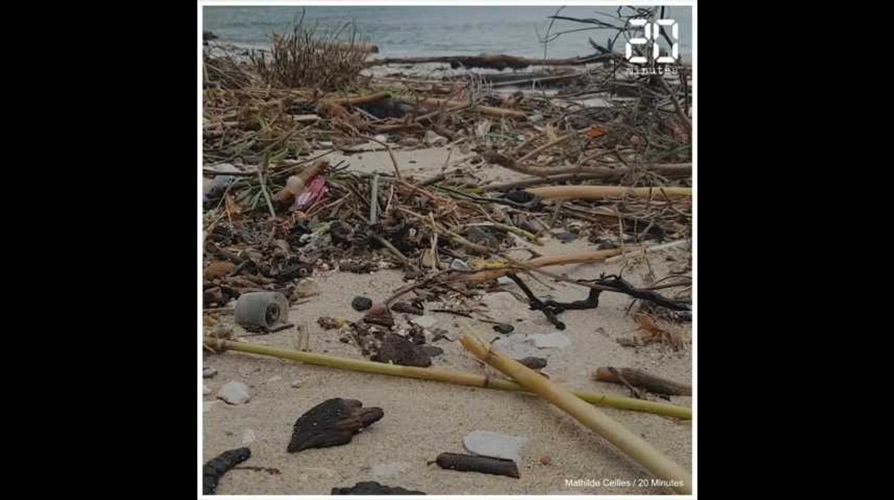 Des boulettes d'hydrocarbures sur la calanque de Sormiou